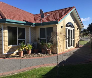 Established Home is Papamoa - Papamoa - Photo 6