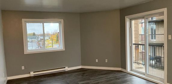 Beau 4 1/2 libre maintenant à Ste-Catherine (rive-sud de Mtl) - Photo 2