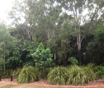 Spacious Family Home in Prime Location - 26 Duranbah Road, Blacks B... - Photo 5