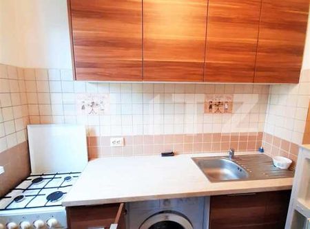 1 camera, 25 mp, Pet Friendly, zona strazii Septimiu Albinii - Fotografie 4