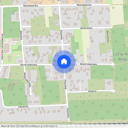 ul. Modrzewiowa, Nowy Bedoń, Andrespol, łódzki wschodni, łódzkie