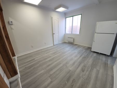 10580 Boulevard Saint-Laurent, #206 - Photo 2