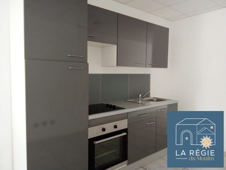 Location Appartement 1 pièce 48m² CHIRENS 38850 - Photo 4