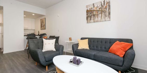 1 Bedroom Available At 2525 Cavendish Blvd., Montreal - 2525 Cavendish Blvd., Montréal - Photo 3