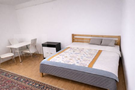 Garsoniera Catfriendly, 30 mp, zona Mega Image, str. Brancus - Fotografie 2