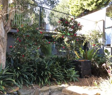 36 Beacon Avenue, Beacon Hill, NSW 2100 - Photo 4