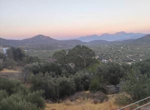 Μονοκατοικία για ενοικίαση - Άγιος Νικόλαος, - Photo 5