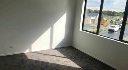Brand New 4-Bedroom Home on a Sunlit Corner Site - Photo 3