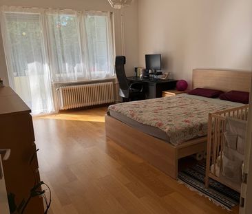 2.5 Zimmer, 70 m², 1. Stock - Foto 5