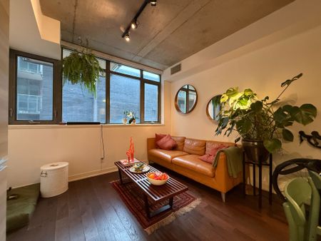 For Lease - 8 Gladstone Avenue Unit# 210, Toronto, Ontario - Photo 4