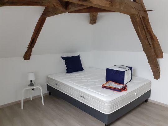 Location Appartement 1 pièce 16m² OUZOUER SUR LOIRE 45570 - Photo 1