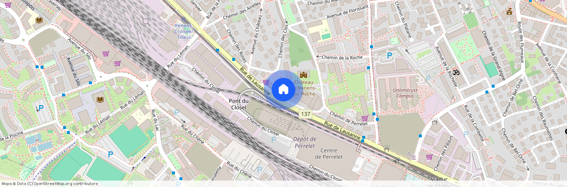 1020, RENENS, Rue De Lausanne, 75