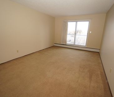 1 Bedroom - Photo 2