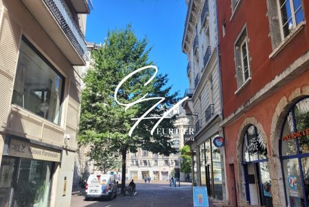 GRENOBLE - T2 - HYPER CENTRE - Photo 4