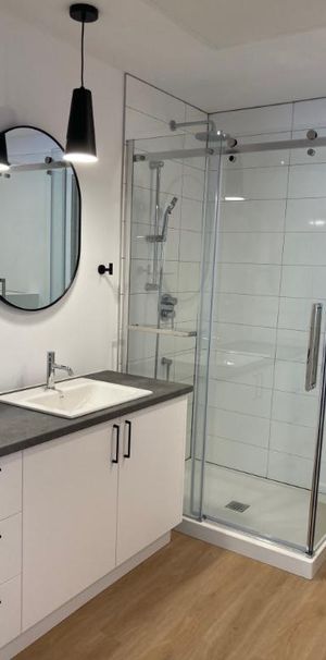 4 1/2 et 5 1/2 à louer St-Hyacinthe pour 1er avril 2026 - Condo / Appartement / Logement - Photo 1