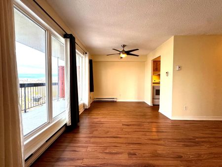 For Lease - 158 Mcarthur Avenue Unit# 1704, Vanier and Kingsview Park, Ontario - Photo 2