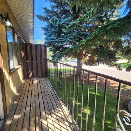 6010B 58A Street - Photo 4