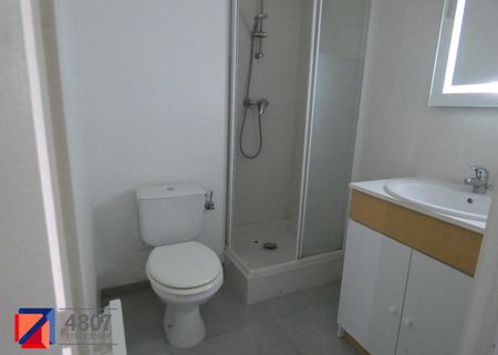 Appartement T1 à louer à Cranves Sales - Photo 5