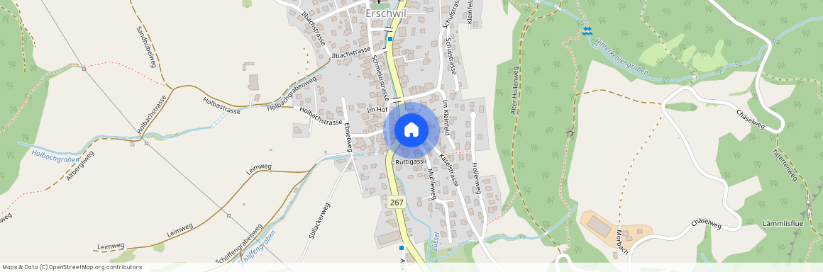 Mühleweg 3, CH-4228, Erschwil, Erschwil,
