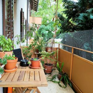 AT POPULAR AND QUIET LOCATION - Photo 2