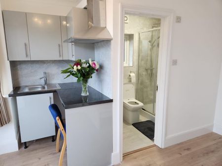 Studio To Let - Photo 4