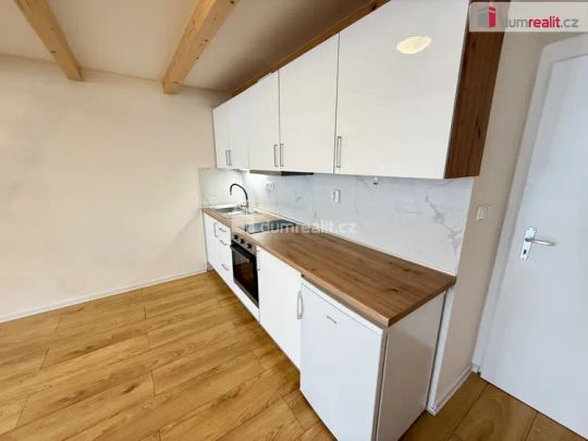 Pronájem bytu 1+kk 48 m - Fotografie 1