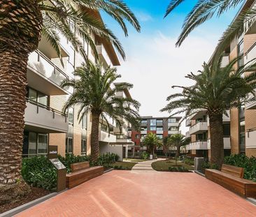 Well Designed Caulfield Heath Apartment - Photo 3