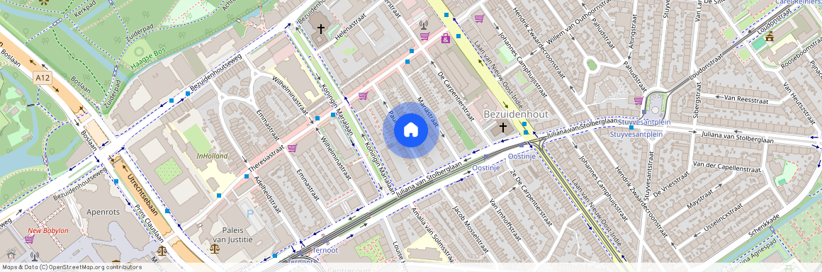 Paulinastraat 42, Bezuidenhout-Midden, 2595GJ, Den Haag