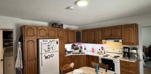 201 Rue Dollard-des Ormeaux - Photo 2
