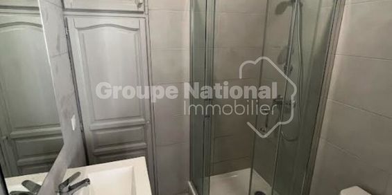Location Appartement 1 pièce 24m² - Photo 3