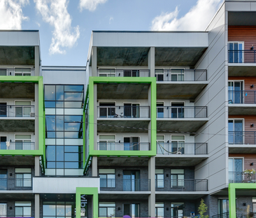 Vibe Lofts - Photo 4