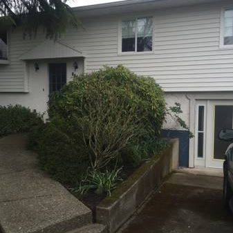 Great Lower Level Unit Very Close to UVic - Photo 4