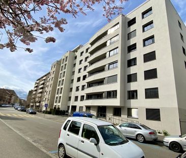 Lichtdurchflutete Wohnung an zentraler Stadtlage - Foto 6