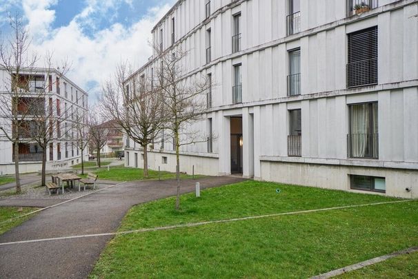 En pleine campagne - au milieu de Zurich - Photo 1