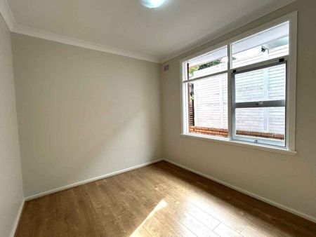 49 Kilbride Street Hurlstone Park - Photo 5