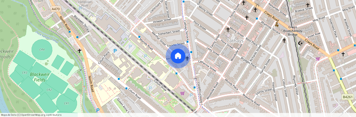 Minister Street, Cathays, CF24