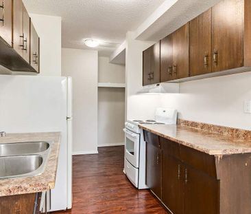 2 Bedroom - Photo 2