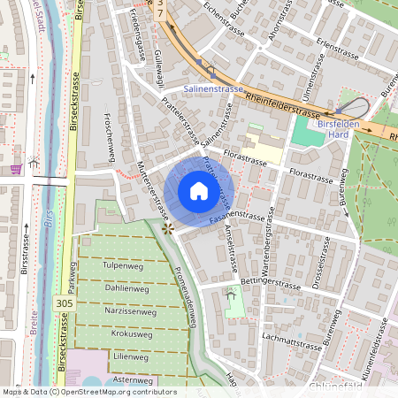 Prattelerstrasse 46, 4127 Birsfelden