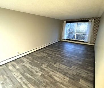 Chrysalis Apartments - Up to 2-Months Free! — 1 Bedroom - Photo 1