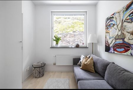 Gaffelseglet, Vega - Photo 3