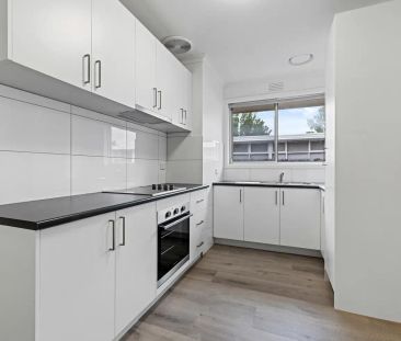 “RENOVATED TWO BEDROOM DELIGHT” - Photo 5