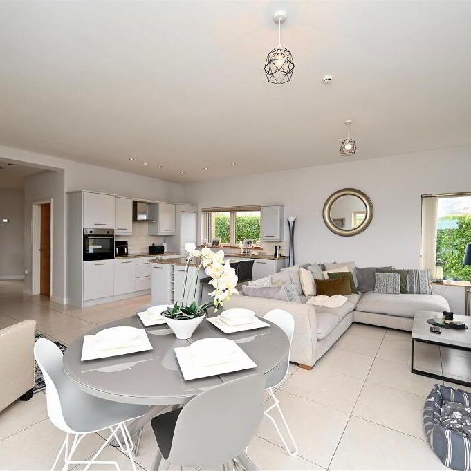 44b Braniel Road, Lisburn, BT27 5JJ - Photo 1