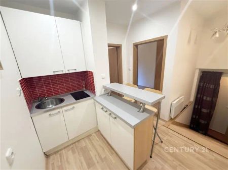 Pronájem tichého bytu s orientací do zahrady u metra Vyšehrad - Photo 3