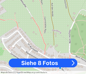 Helle 2,5 Zi-Wohnung in Jugendstilhaus mit Balkon und EBK Stgt.-Ost... - Foto 1