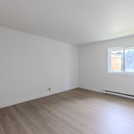 Appartement 4 ½ à louer Lévis novembre 2025 - Photo 3