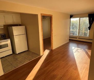 1 CH - 1 SDB - Montréal - $1,250 /mo - Photo 1
