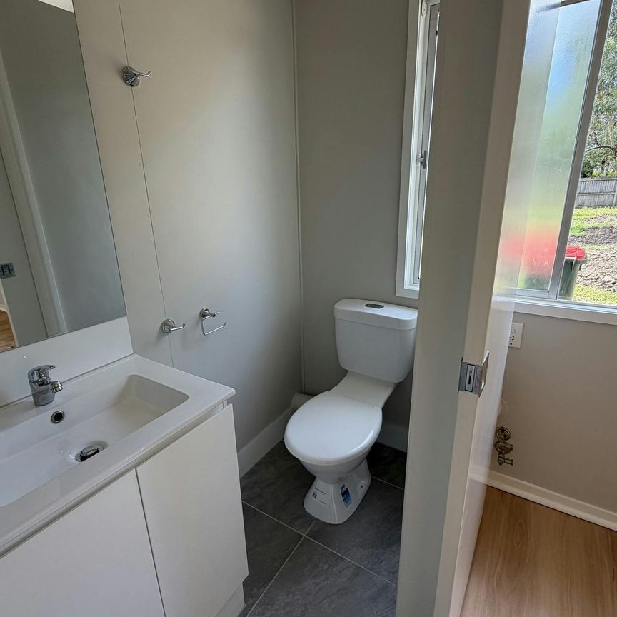 Studio Style Living! - Photo 1