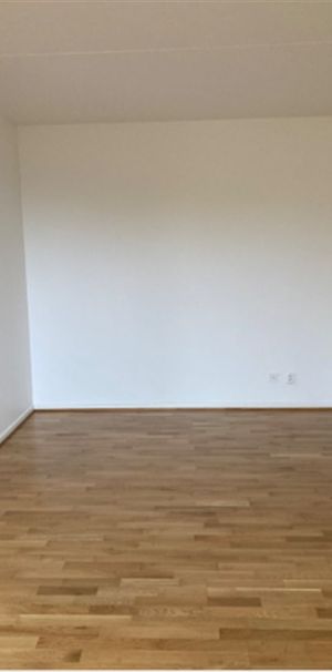 Vougts väg 20 - Foto 1