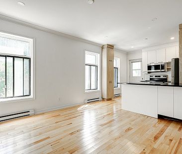 Condo for rent, Montréal (Le Plateau-Mont-Royal) - Photo 1