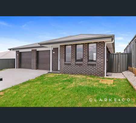 19 Anston Street, Farley, NSW 2320 - Photo 2